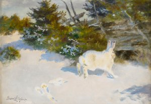 Hare in Winter Landscape